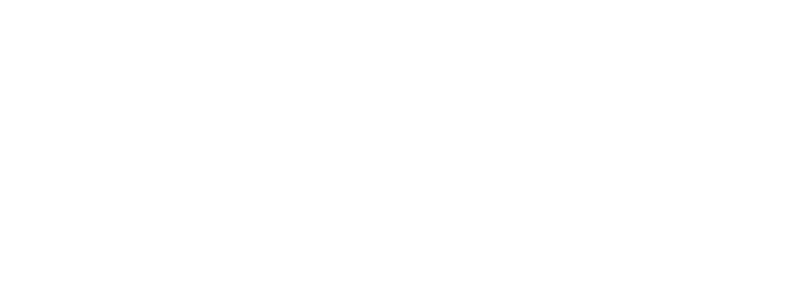 Sanfix